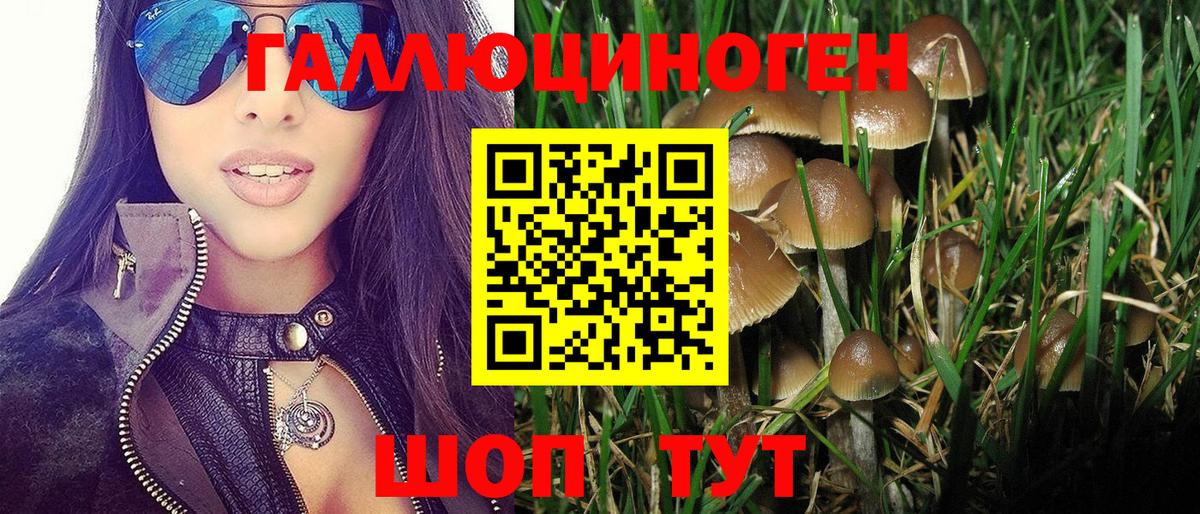 Галлюциногенные грибы MAGIC MUSHROOMS  Псилоцибиновые грибы Psilocybine cubensis  Вход с VPN  Тутаев 